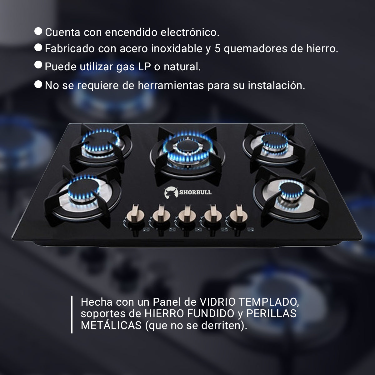Parrilla 5 Quemadores Vidrio 🔥